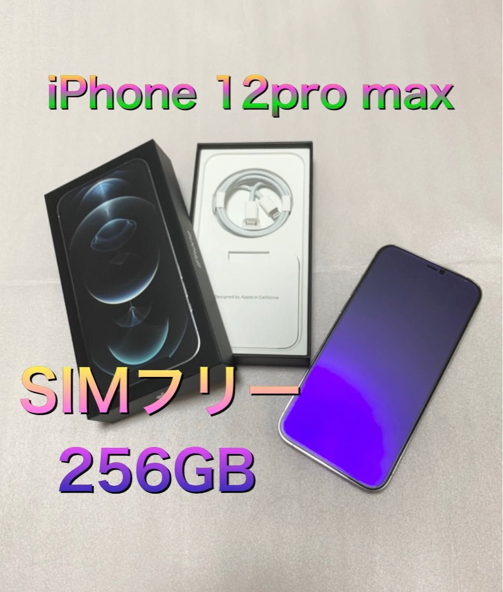 美品 iPhone12promax 256GB SIMフリー 付属品あり スマホ スマホ www
