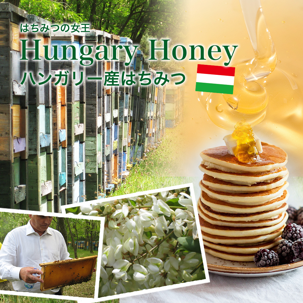 [ establishment 80 year honey. speciality shop carefuly selected original . honey ] Hungary production Akashi a free shipping Hungary production Akashi a bee molasses 2kg