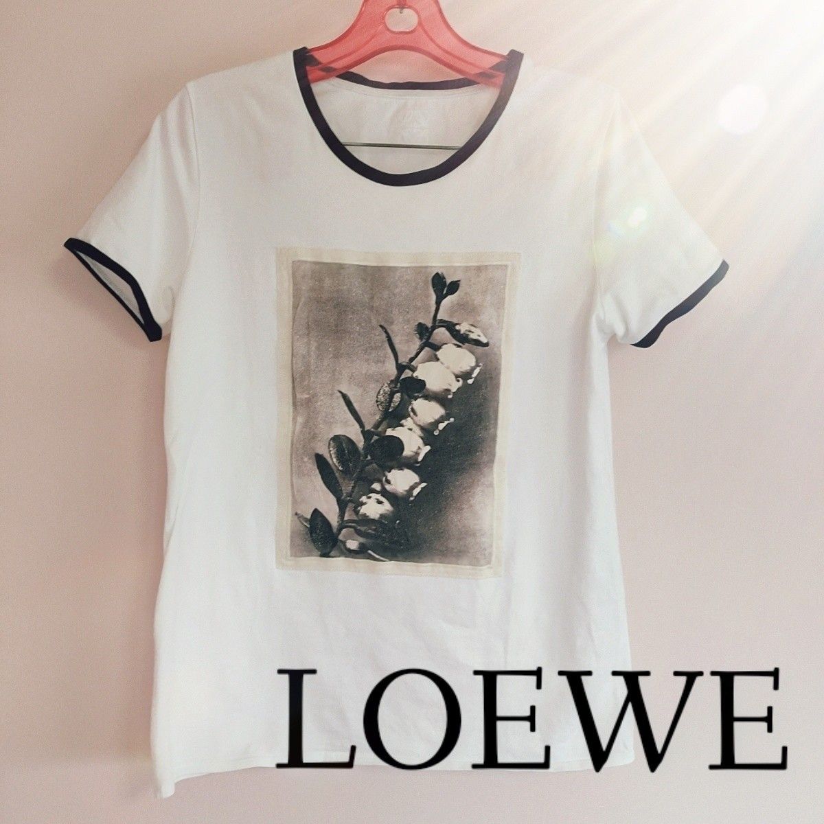 LOEWE☆シンプルTシャツ | alfasaac.com