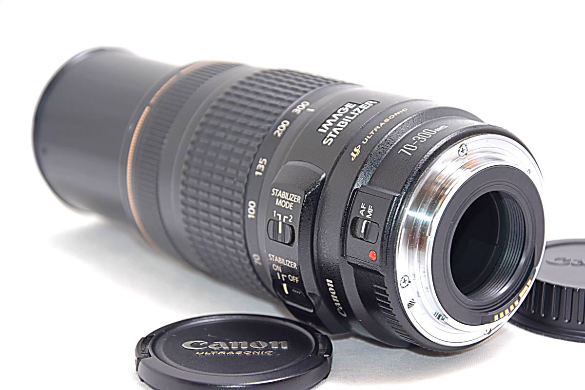 手ぶれ補正付き遠くが超綺麗Canon 70-300mm IS USM | alfasaac.com