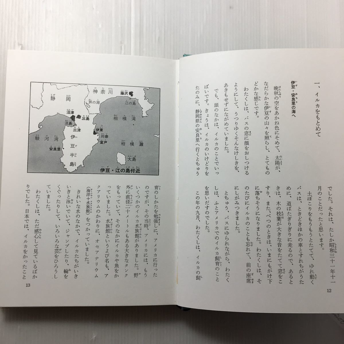 zaa-154♪エコーという名のイルカ 中島将行 (著)現代子どもノンフィクション 4あかね書房 1973/6/25 絶版　稀本