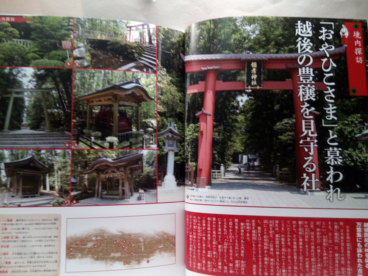 絶版◆◆週刊日本の神社29彌彦神社◆◆新潟県 弥彦神社 おやひこさま 天香山命 霊峰 弥彦山 神武東征 燈籠神事☆親鸞 良寛 八百比丘尼 即決_画像2