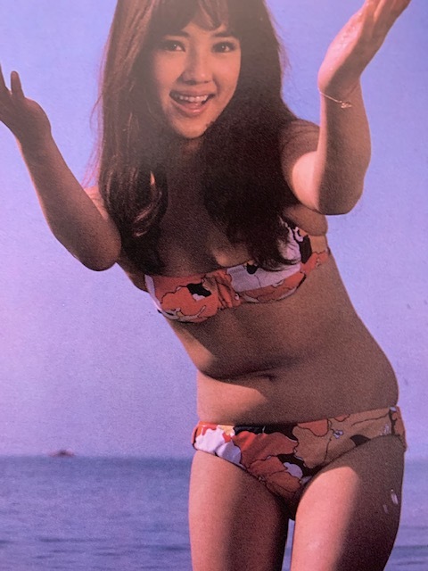 ヤフオク お宝 五十嵐淳子 水着グラビア 6p 切り抜き ヤフオク お宝 五十嵐淳子 水着グラビア 6p 切り抜き