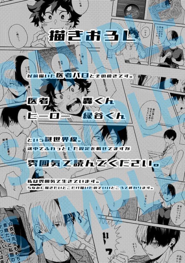 ニッサン・638 「さいろく 2」僕のヒーローアカデミア同人誌 轟焦凍×緑
