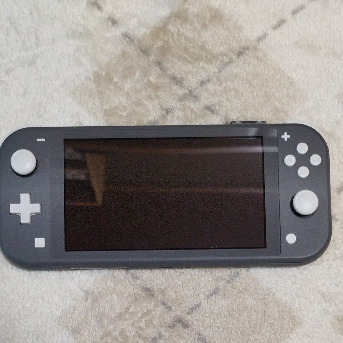 Nintendo Switch Lite グレー ニンテンドースイッチ ライト テレビ