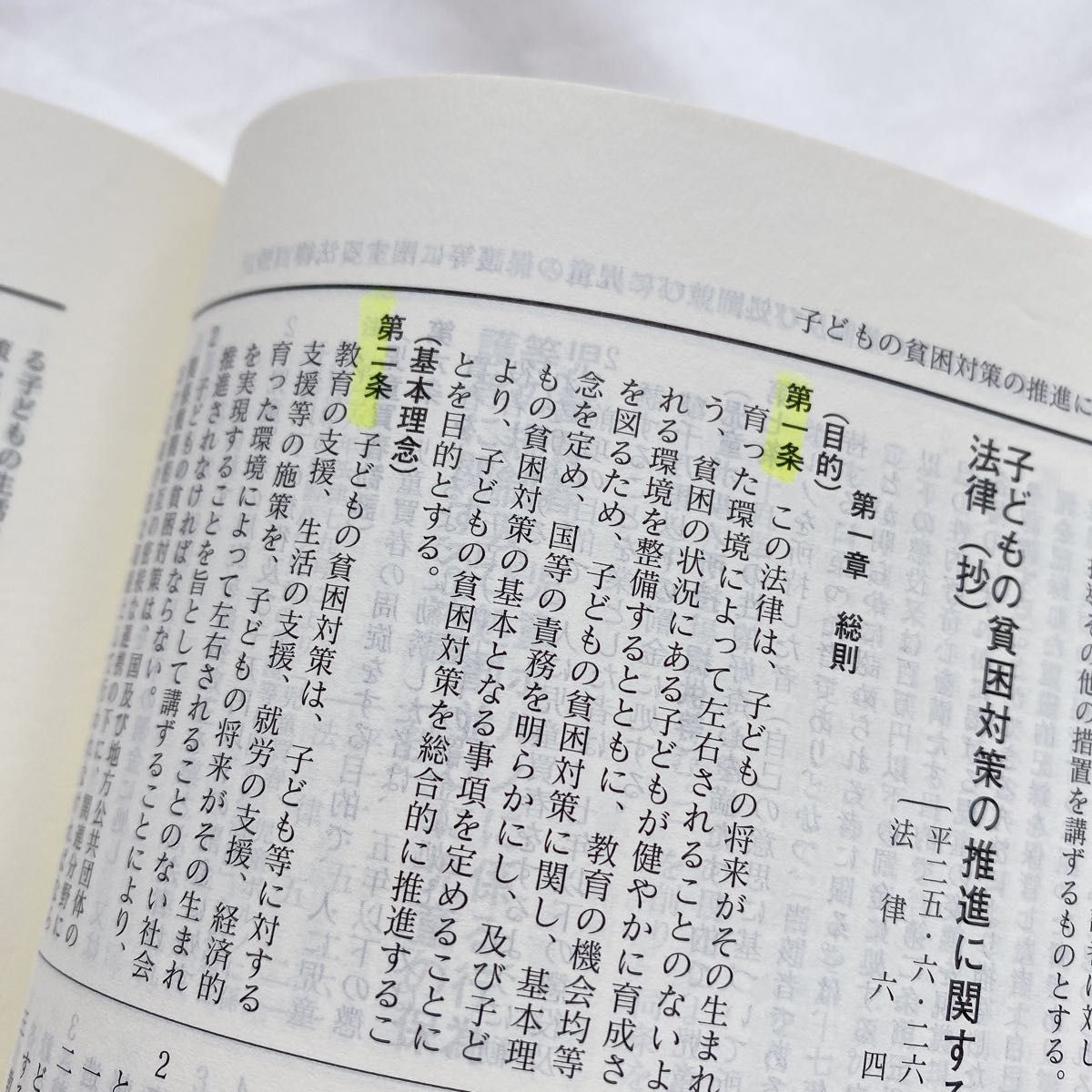 保育福祉小六法 (２０１９年版) 小六法編集委員会 (編者) 法律等を読み解くうえで必要な基礎知識 