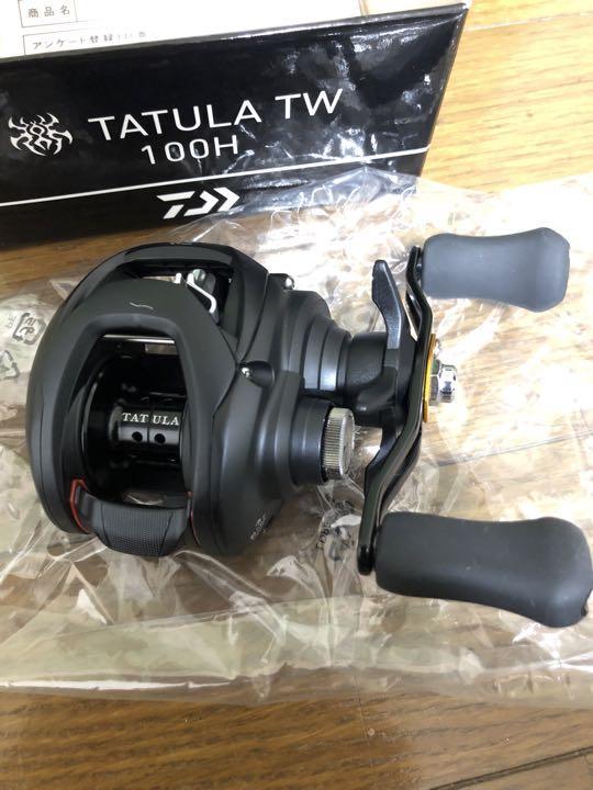 ダイワ(DAIWA) ベイトリール 19 タトゥーラ TW (右ハンドル)