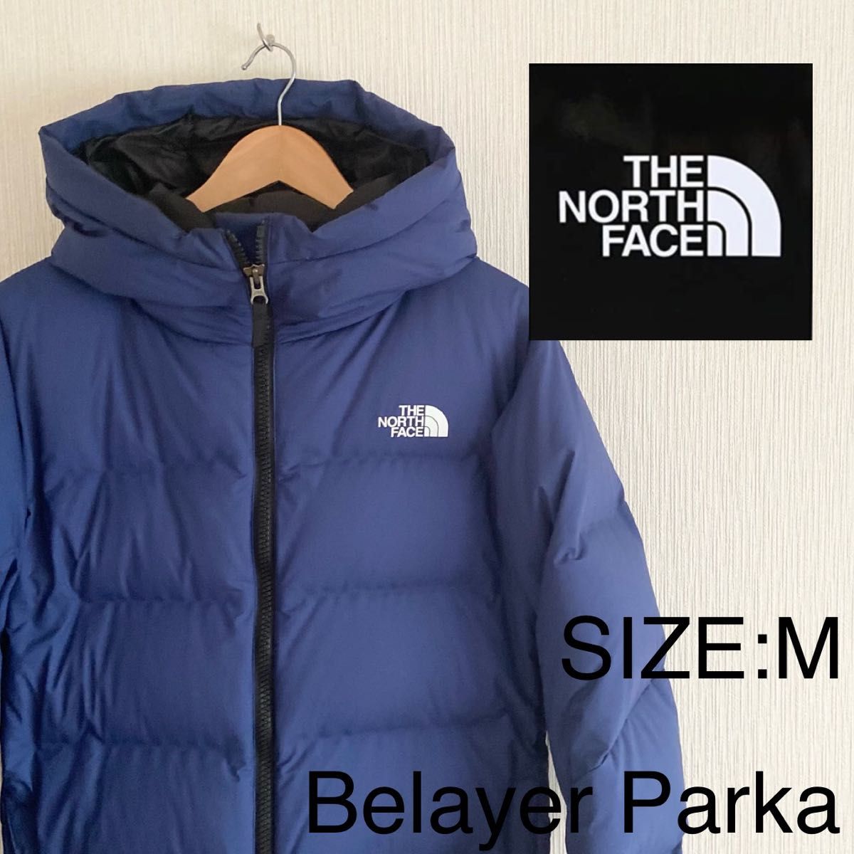 廃盤カラー THE NORTH FACE ダウンジャケット Belayer Parka