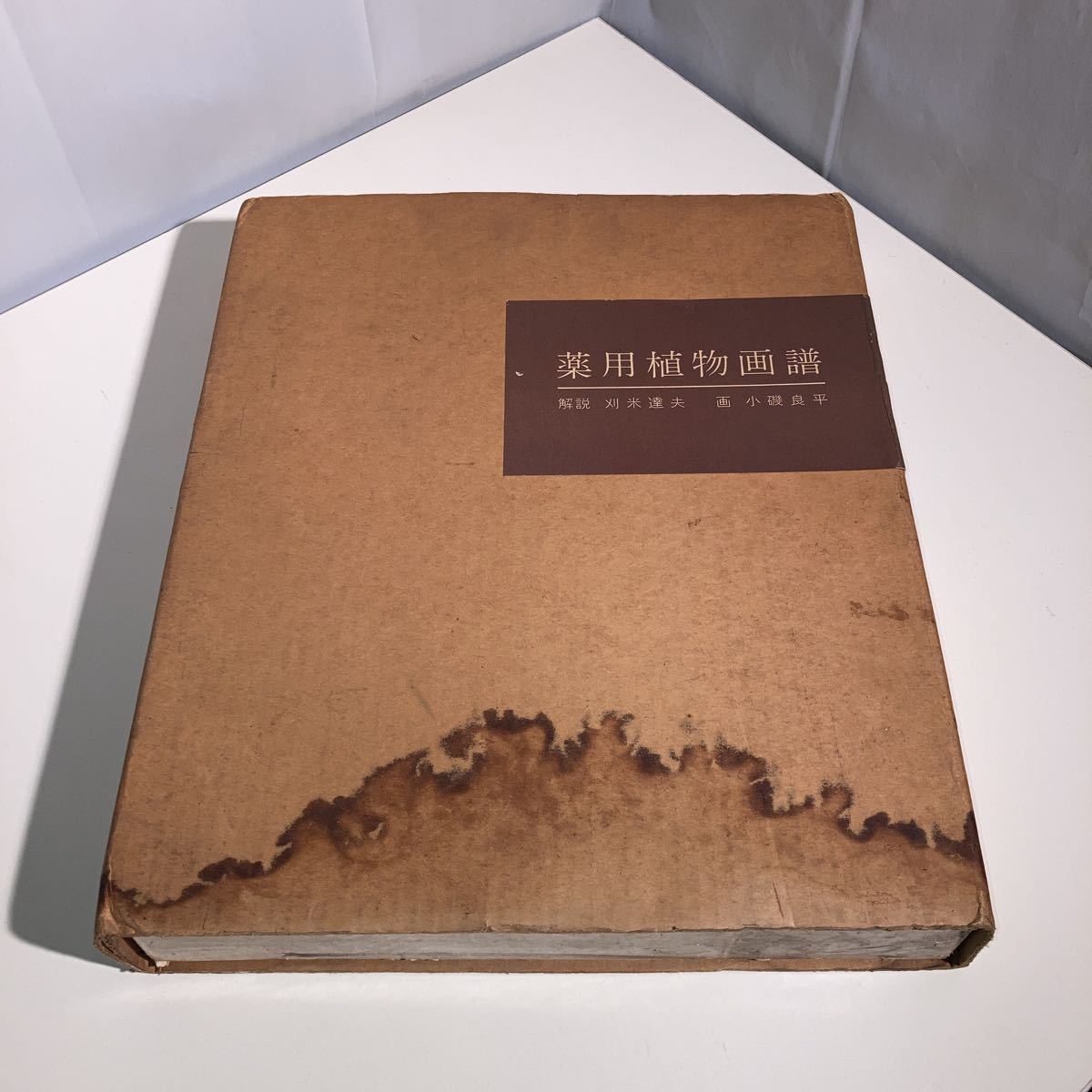 卓越 小磯良平 薬用植物画譜 confmax.com.br