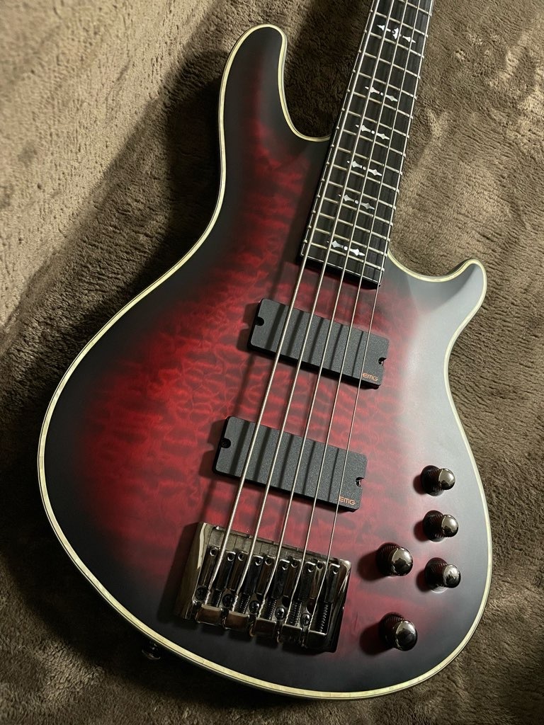 SCHECTER Hellraiser Extreme-5 定価181,500円 [AD-HR-EX-BASS-5] EMG 