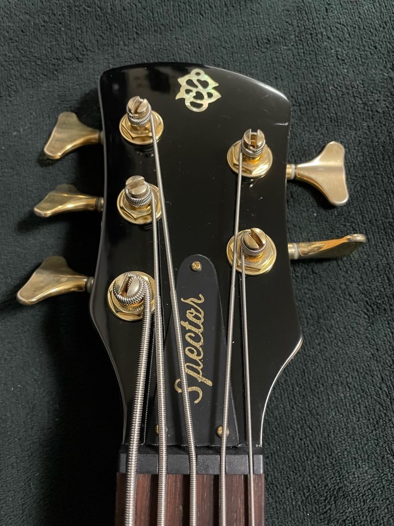 Spector Legend 5 Custom