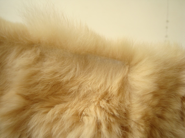 Giacometti fur the best sizeS Rex cow leather pig leather fur the best Zip up the best jakometi