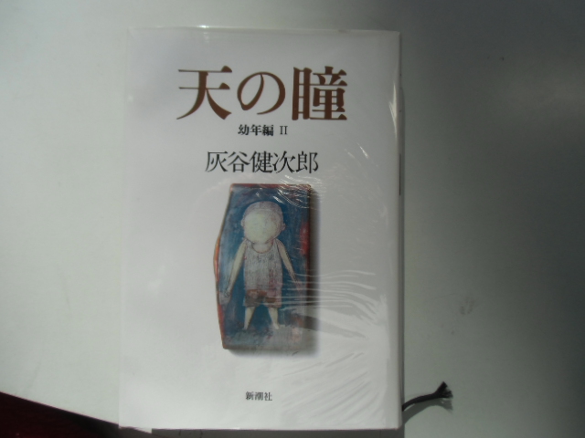  небо. .. год сборник Ⅱ Haitani Kenjiro Shinchosha 