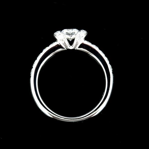 ロイヤルアッシャー ダイヤモンド 0.29ct D-VS1 リング Pt950 | www