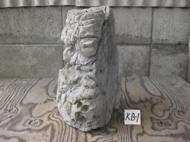  nature stone hole opening acid li stone gray ( height 33.) 16,7.KB-① garden stone appreciation suiseki st . stone 