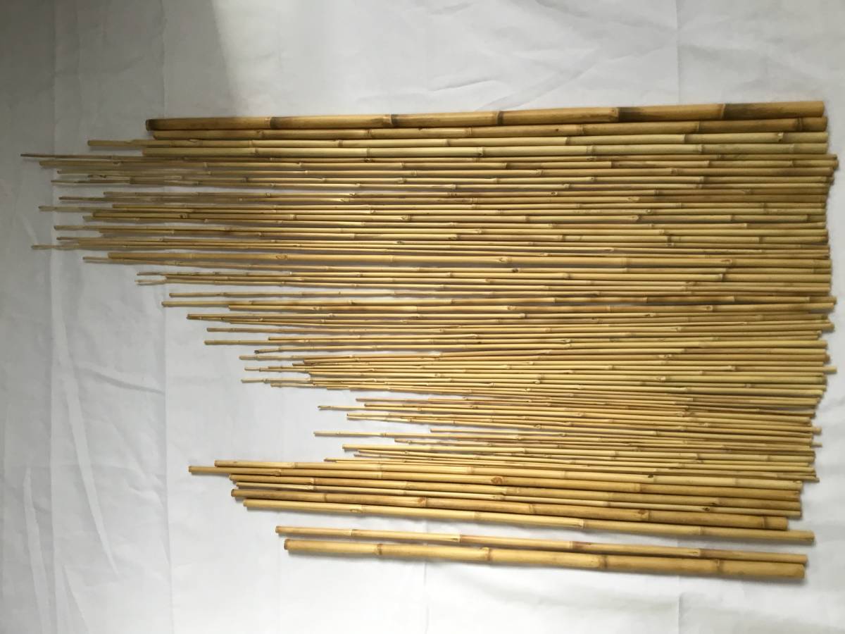 素敵でユニークな 矢竹まとめて3　和竿製作　ヘラ竿・イカダ竿の製作素材 その他