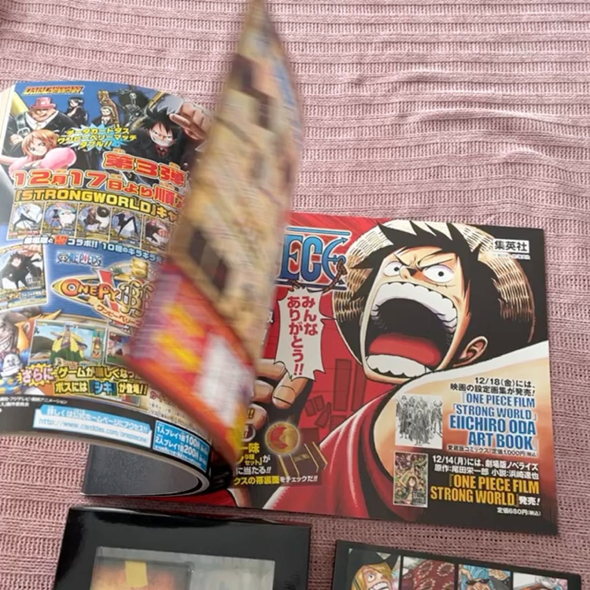 【初回限定版・特典付】ONE PIECE ストロングワールド　DVD パンフレット