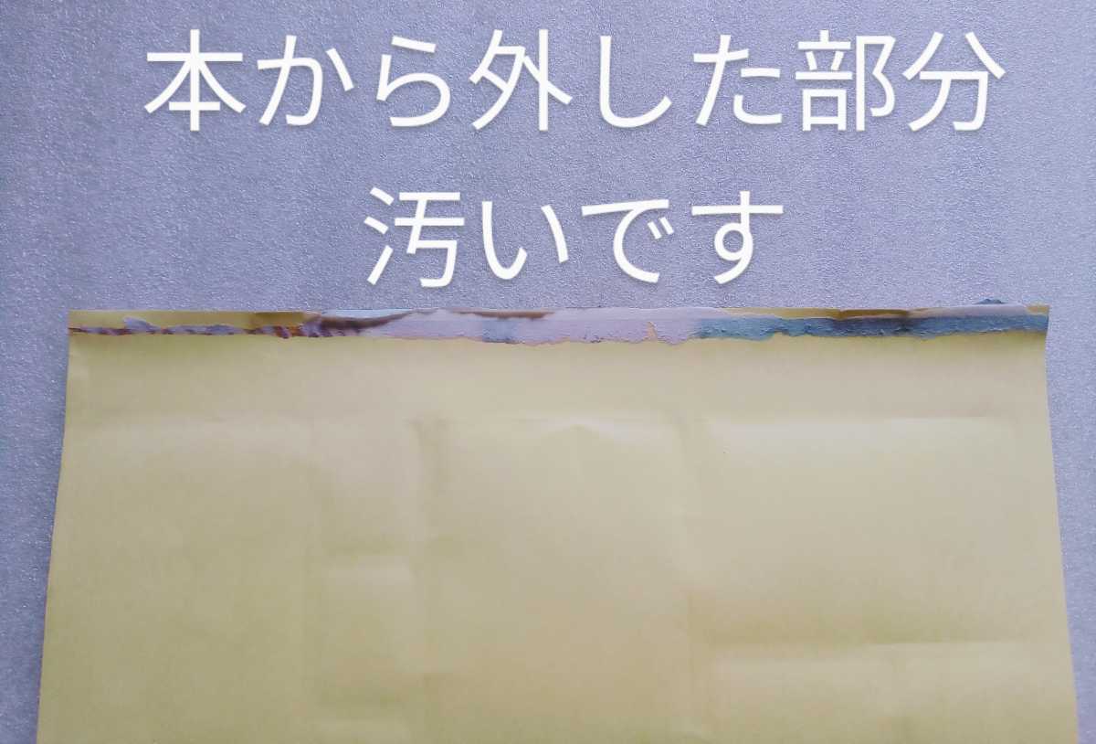 与田祐希 特製グラビアステッカー 乃木坂46 ヤングジャンプ2022No.48ふろくステッカー ※とじ込みステッカーのみ_画像6