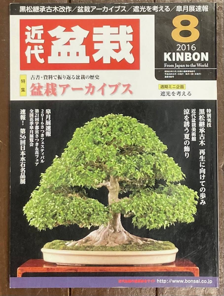 【即決】月刊 近代盆栽/2016年8月号/盆栽アーカイブス/黒松/再生/古木/皐月展/盆栽作家/盆栽総合誌/雑誌/本_画像1