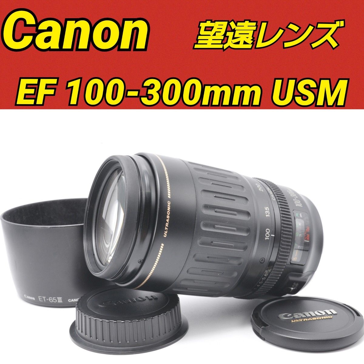 望遠レンズ キヤノン Canon EF100-300 超望遠レンズセット-