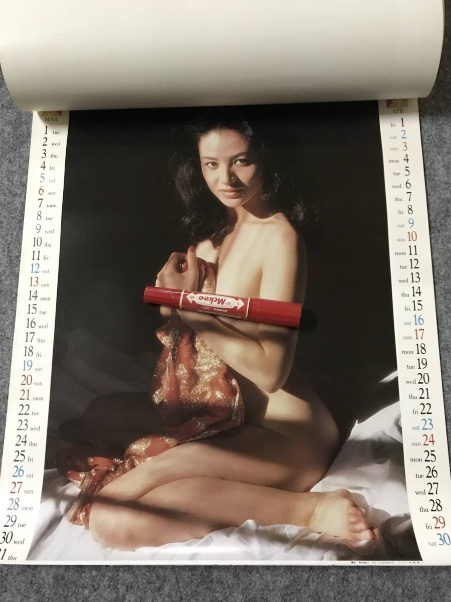  Showa Retro. календарь *... один фотосъемка [ новый товар не использовался ]1983 год * Showa 58 год * лето ...*