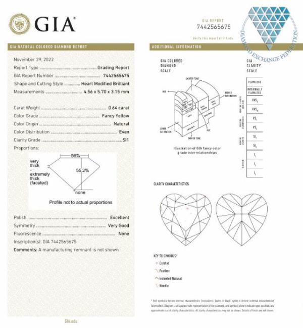0.64 ct FANCY YELLOW SI1 HEART GIA 天然 ダイヤモンド ルース DIAMOND EXCHANGE FEDERATION_画像2