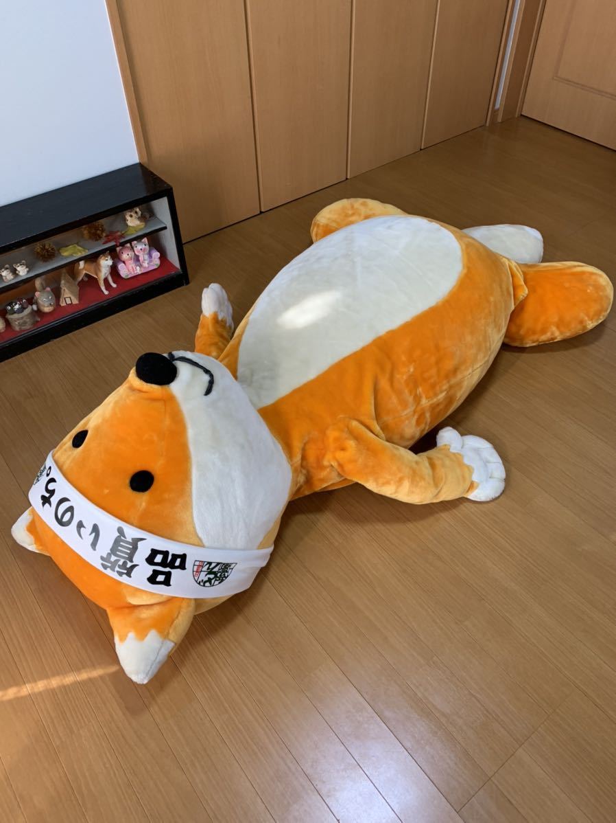 ヤフオク! - 日清 どん兵衛 きつね 超特大ぬいぐるみ 非売品 懸賞品