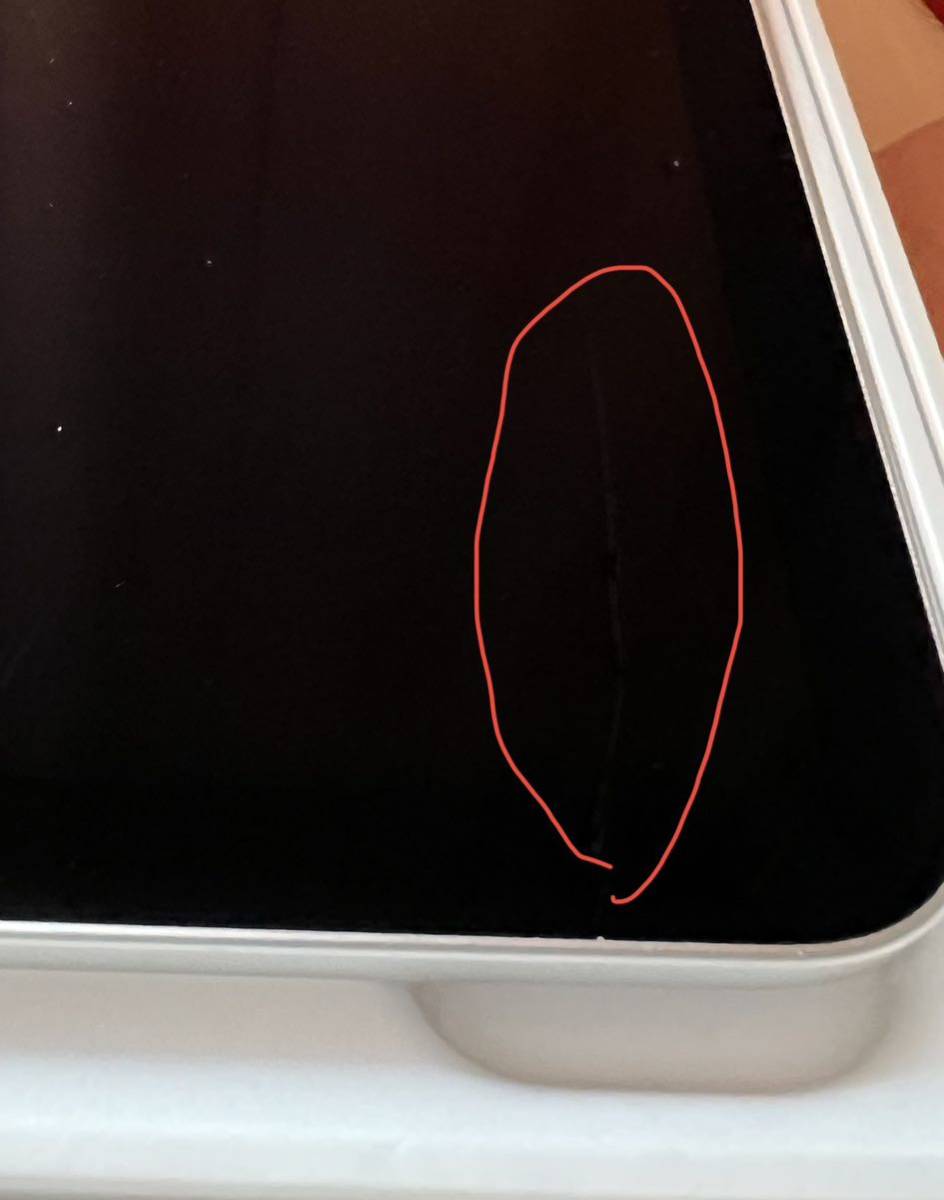 【即決】美品中古 iPad Pro (第5世代) 12.9インチ シルバー 128GB Wi-Fiモデル 付属品 本体のみ 箱付き