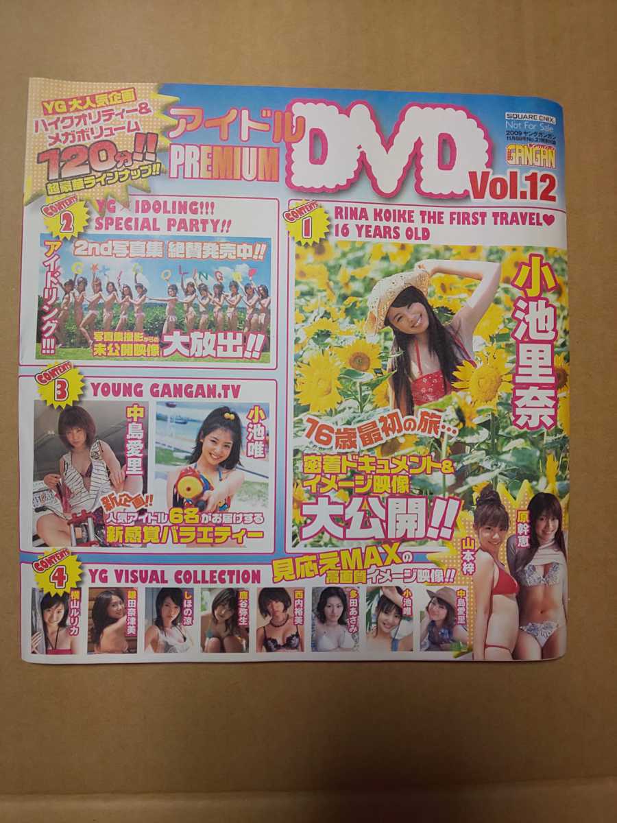 直売廉価 ヤングガンガン 2008年11月21日号 付録DVD