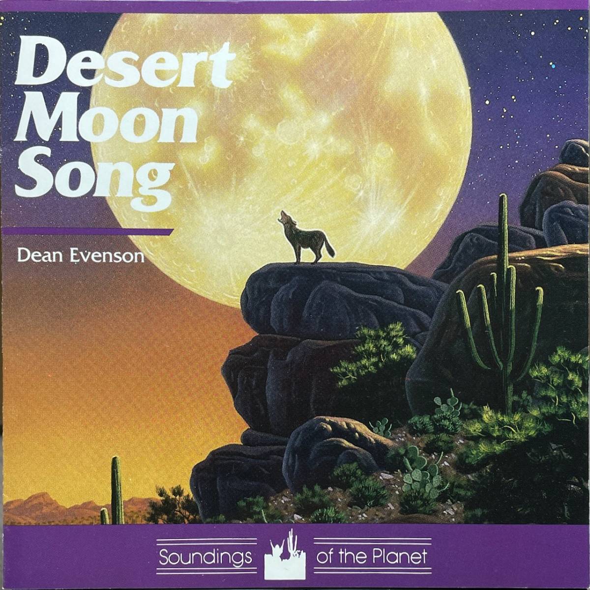 (C22H)☆ヒーリング/ディーン・エヴェンソン/Dean Evenson/Desert Moon Song☆_画像1