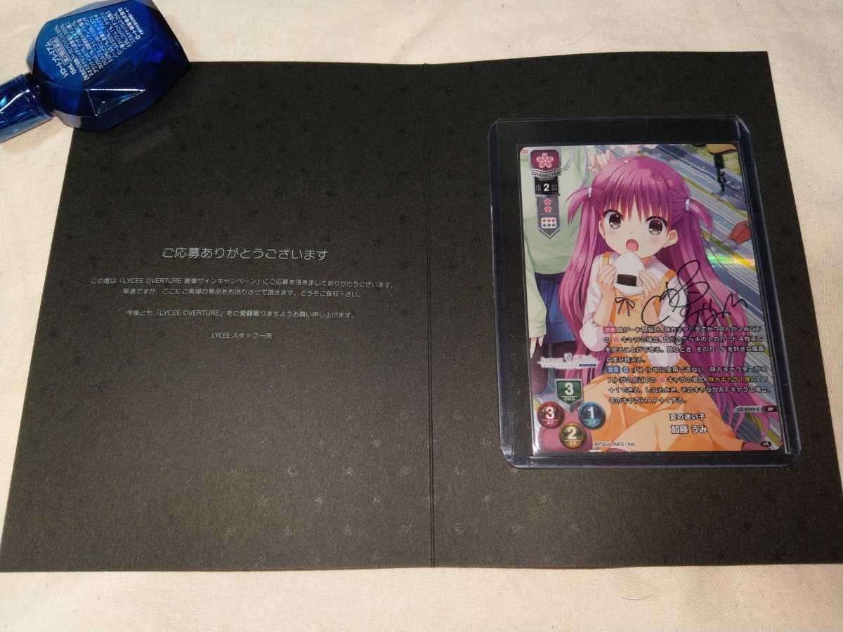 lycee 夏の迷い子 加藤うみ サマーポケッツ 直筆サイン リセ lycee 夏の迷い子 加藤うみ サマーポケッツ 直筆サイン リセ