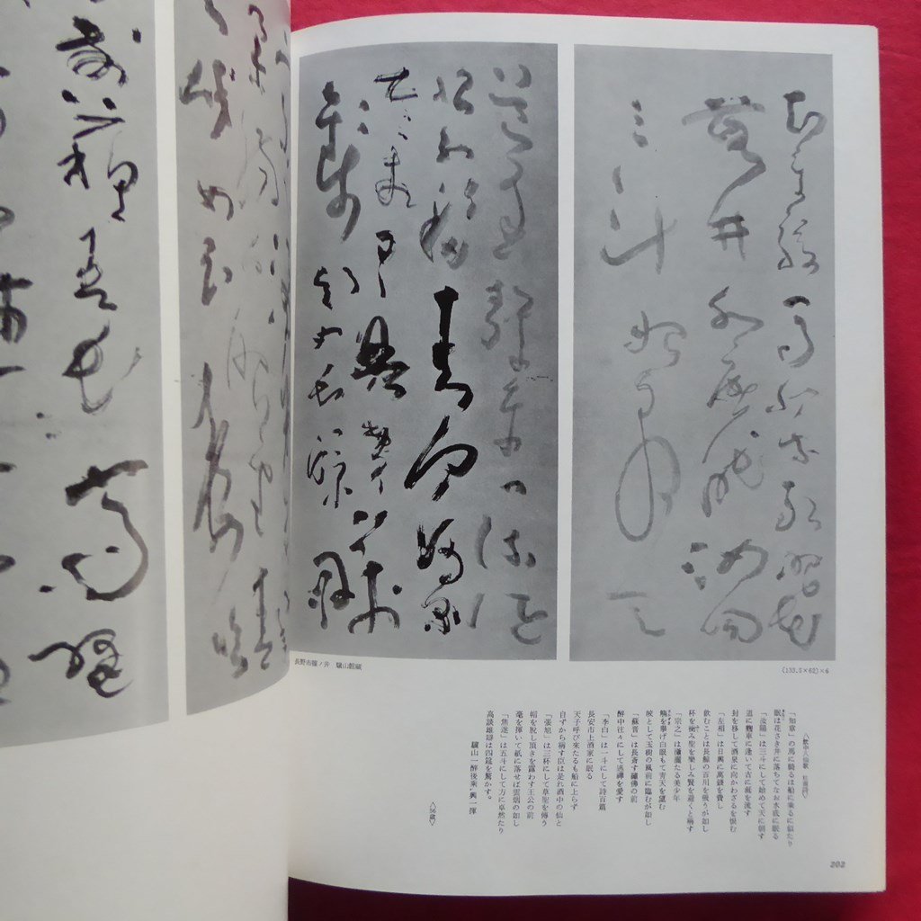 青山杉雨先生 張瑞図直筆折帖 書道 | pybli.com.my