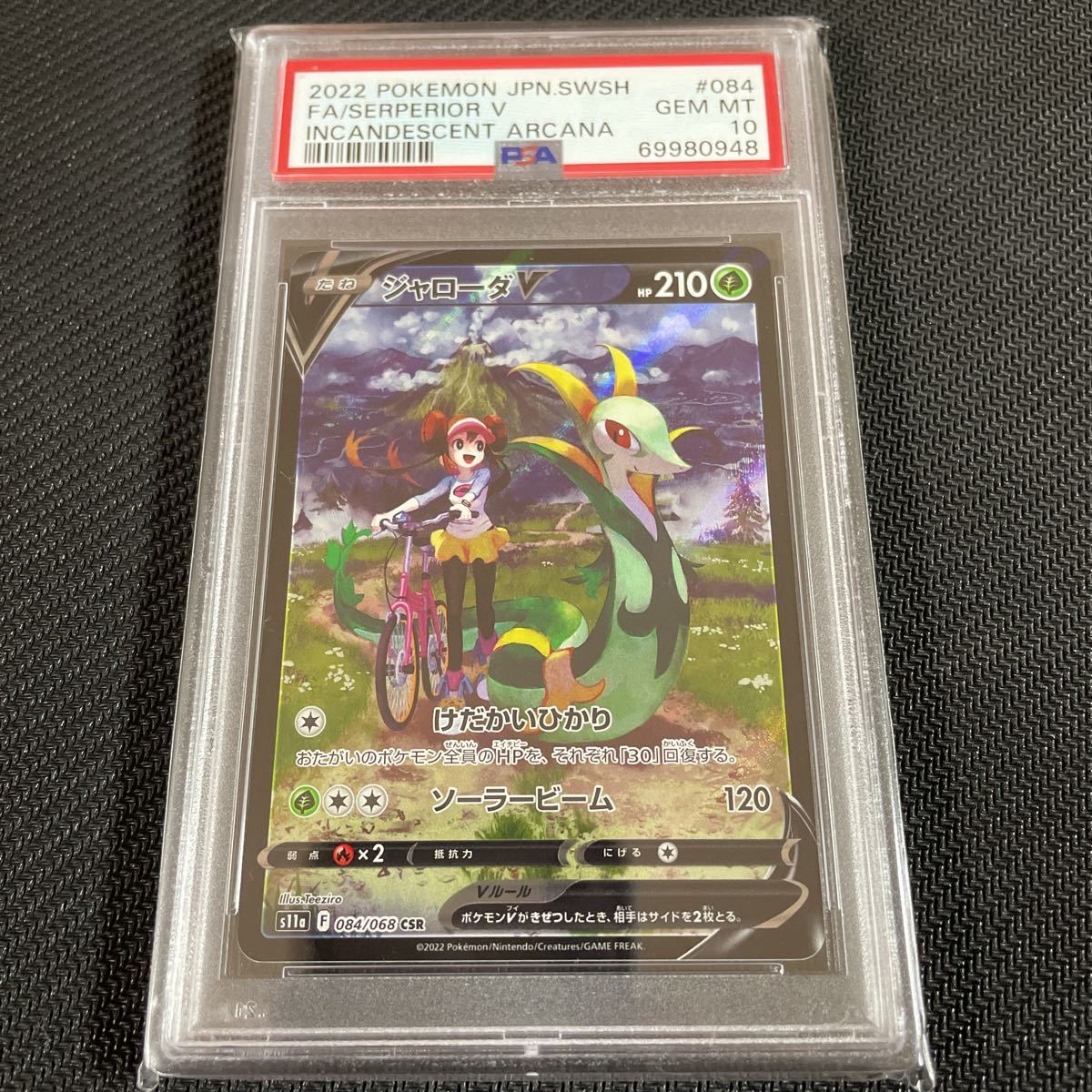 取寄品 日本最大級 ppb ジャローダV - csr psa10 psa10 メイ - www