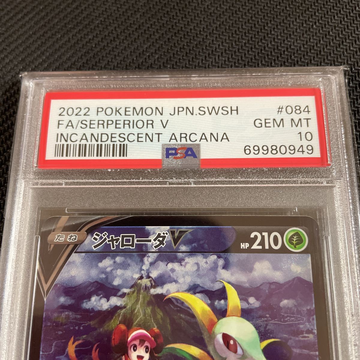 一部予約!】 ポケモンカード ジャローダV CSR PSA10 2枚+自引き1枚