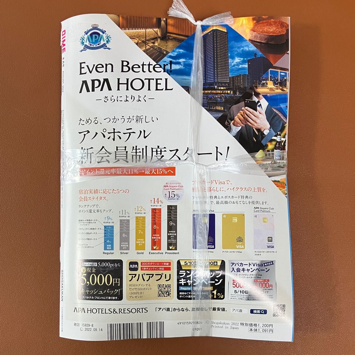 DIME ダイム2022年8月号 付録のみ cateslaundry.com