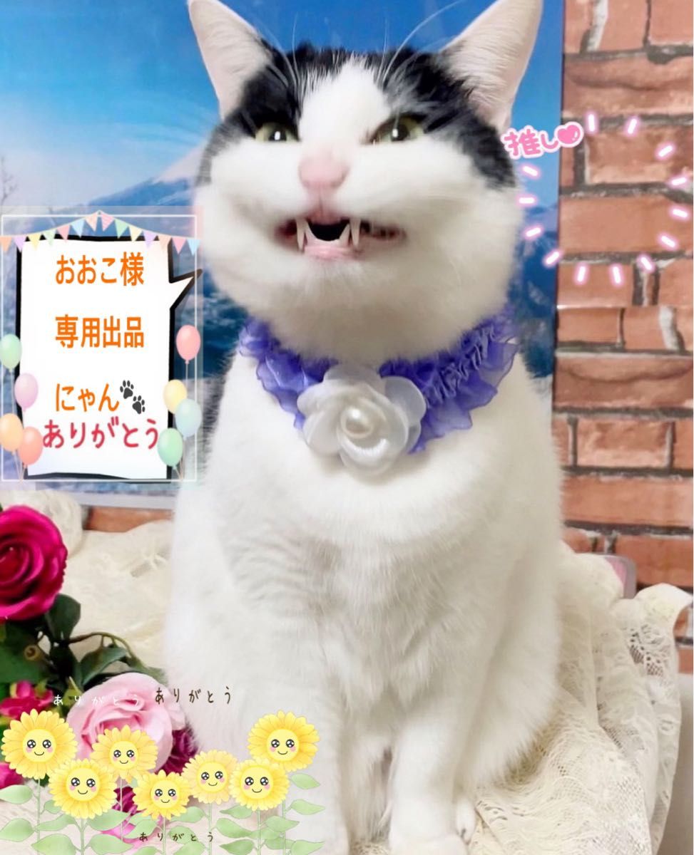おおこ様専用出品にゃん|PayPayフリマ