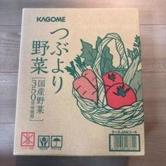 KAGOME つぶより野菜1箱195g×30本入り×2箱セット - ruizvillandiego.com