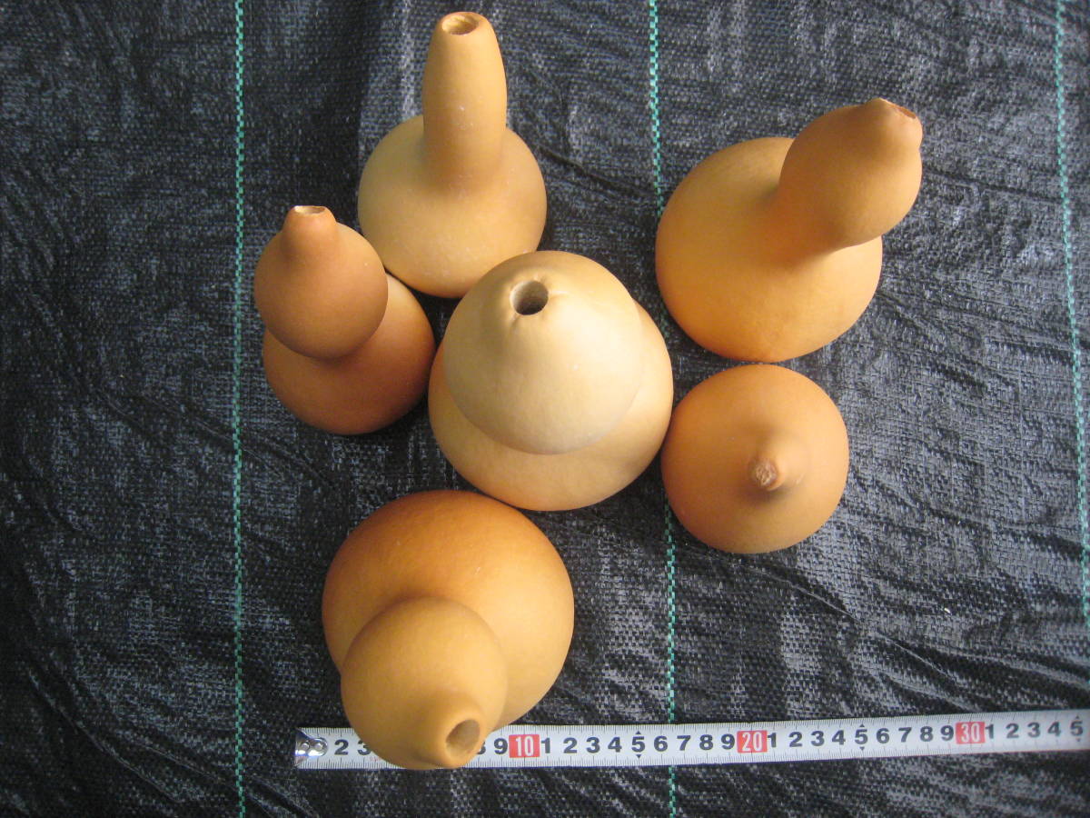 ① calabash 6 piece top and bottom . hole equipped! in detail commodity explanation ..