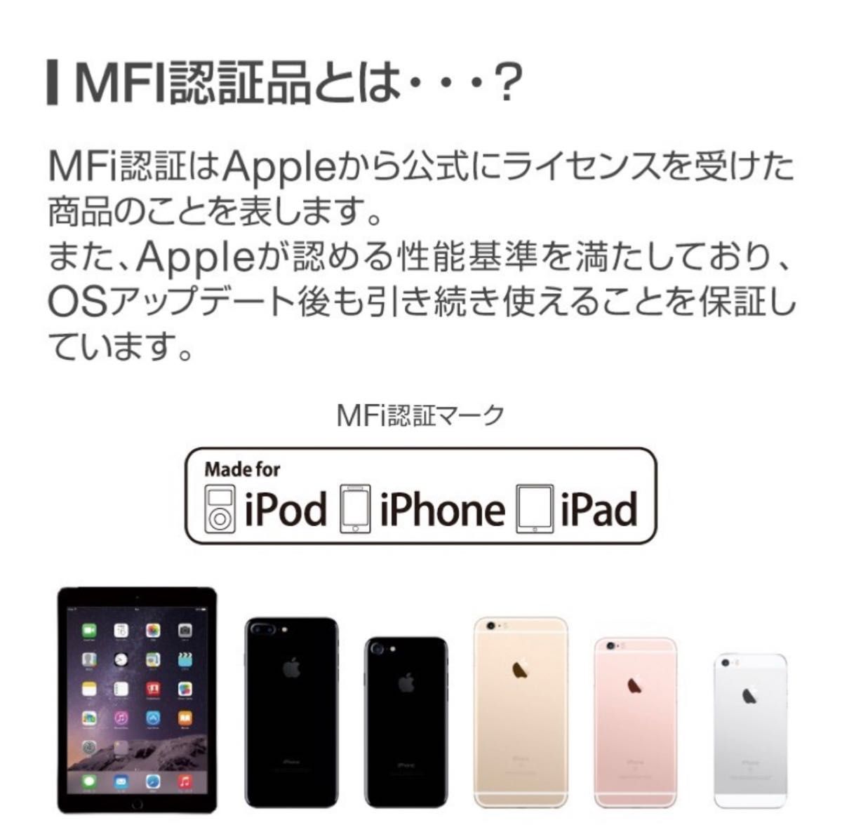 Apple MFI認証/高耐久iPhone充電ケーブル　USBケーブル　データ転送　10本
