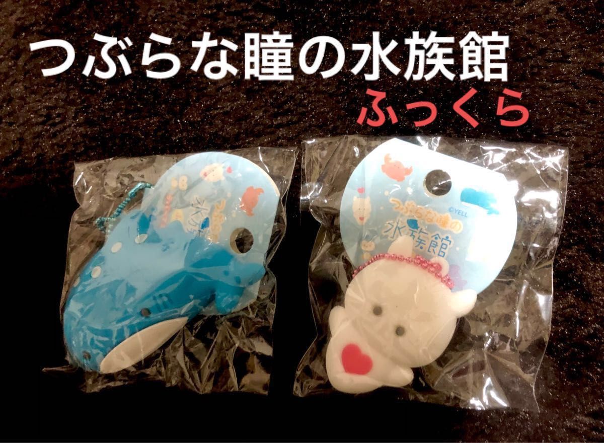 【新品未使用】つぶらな瞳のシリーズ　21個セット　お弁当箱＋　Fuwa Fuwa 水族館　ふっくら　爬虫類館　ぷちマスコットBC 