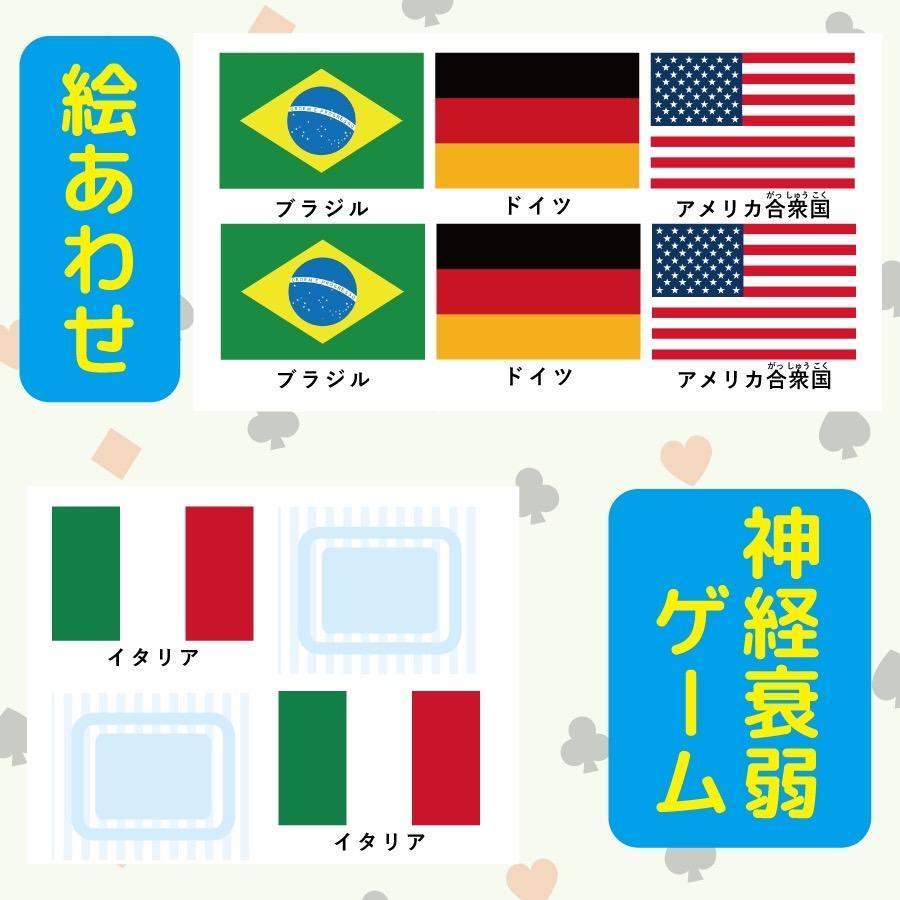 【G20】 世界の国旗　カード　20種類　2セット　40枚　神経衰弱　知育玩具