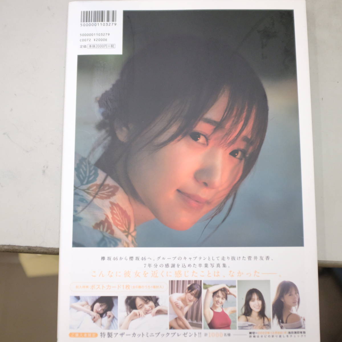 サービス 卒業 菅井友香 ポスター 8種コンプリートセット 櫻坂46 fawe.org