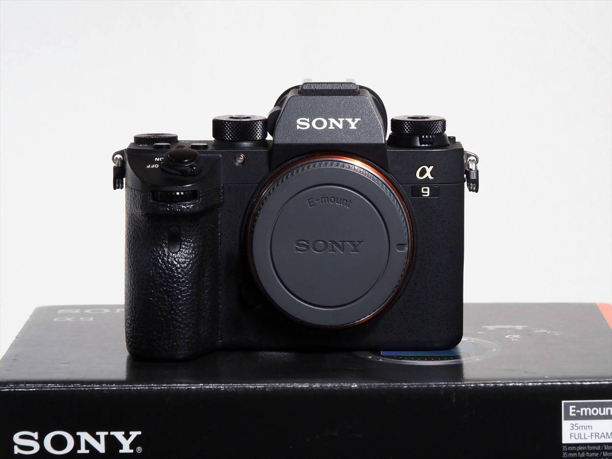 ☆決算特価商品☆ 美品 豪華セット SONYα純正ソフトキャリングケース