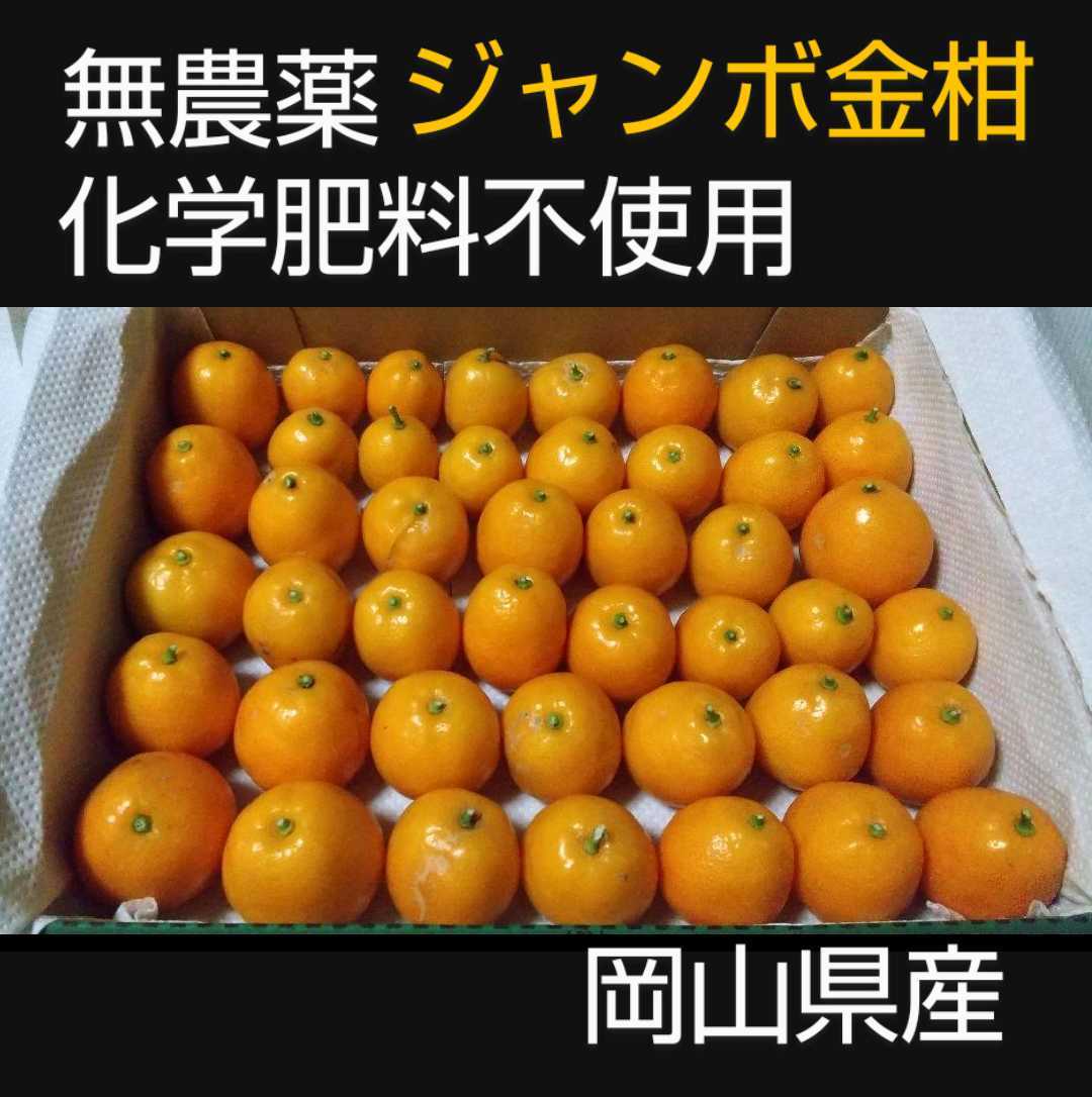 ⚪︎本日発送⚪︎ 愛知県産 栗 生栗 900g