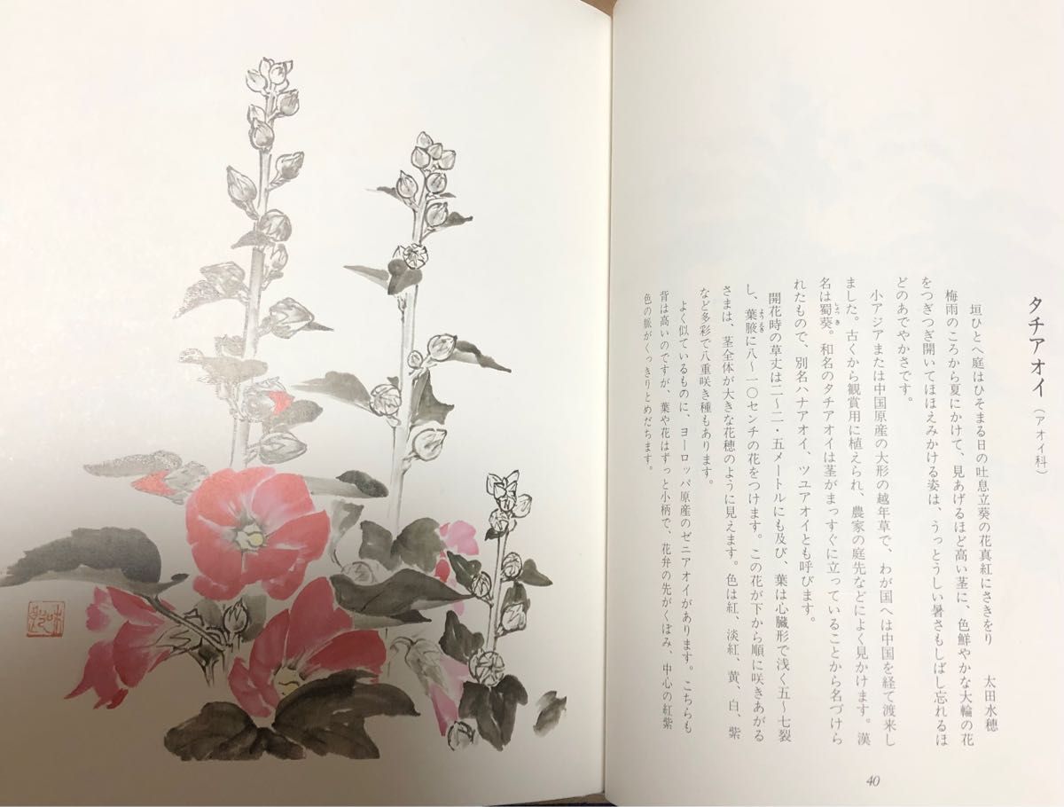 墨で描く四季の花　第ニ集　宮本和郎