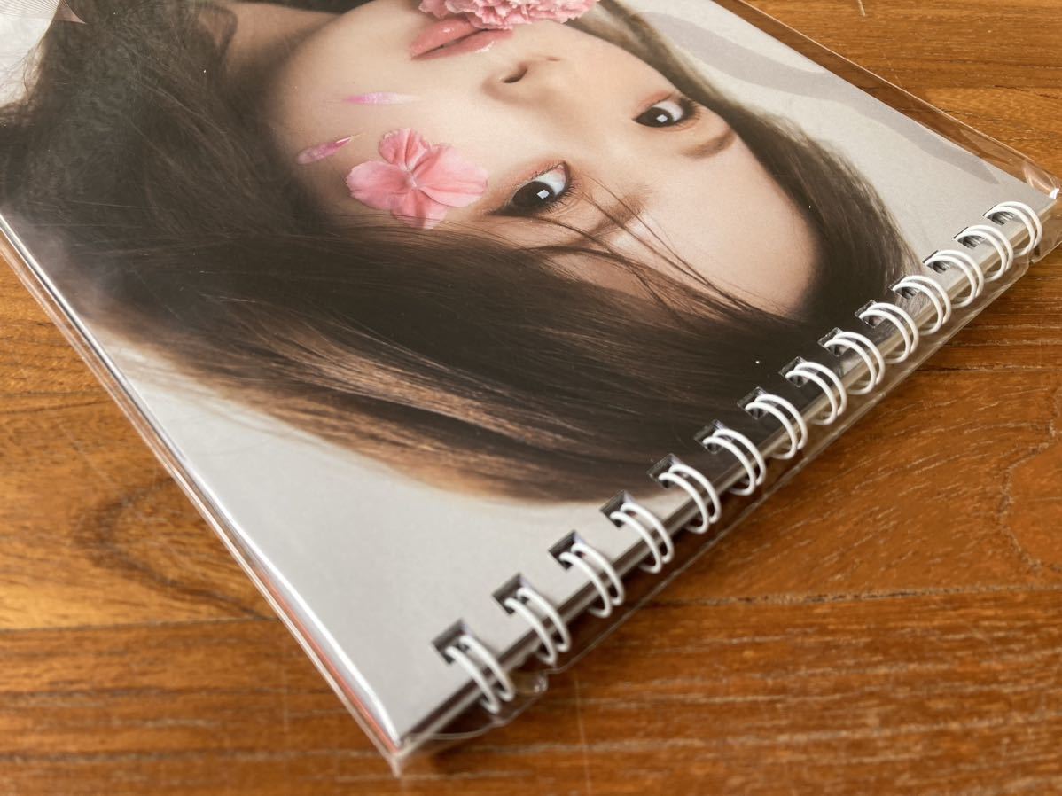 新品 未開封 高柳明音 卓上カレンダー 2023 カレンダー SKE48 NMB48 アイドル タレント 女性アイドル AKB48 スケジュール ポスター写真集の画像3