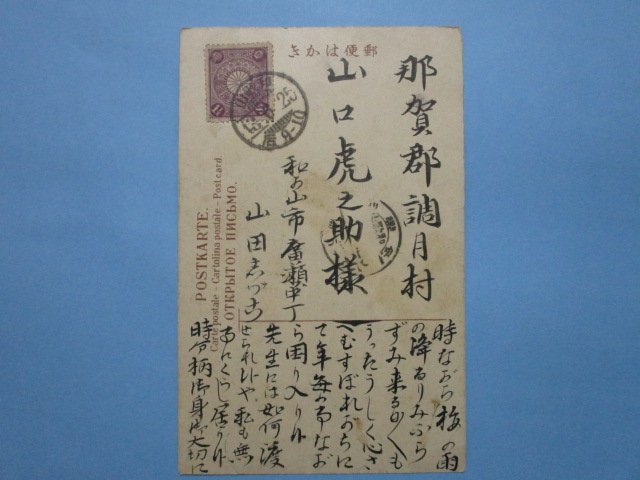 j3342明治43年絵葉書　紀州根来寺国宝多宝塔_画像2