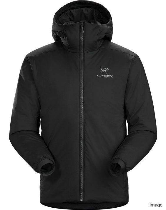 日本限定 ダウン アルファ ベータ △ アトム アークテリクス Hoody AR