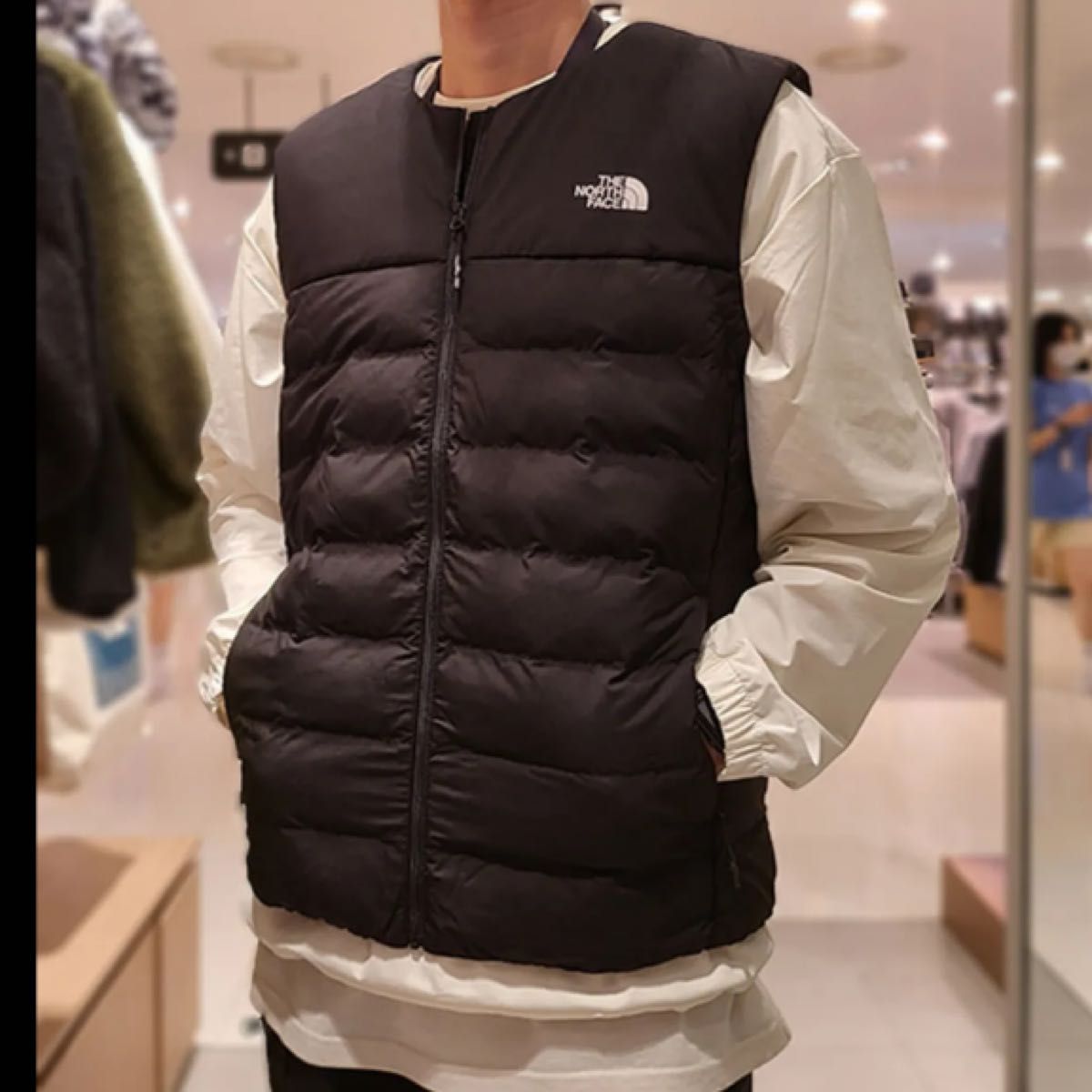 THE NORTH FACE / ザ ノースフェイス ダウンベスト レア 半額SALE