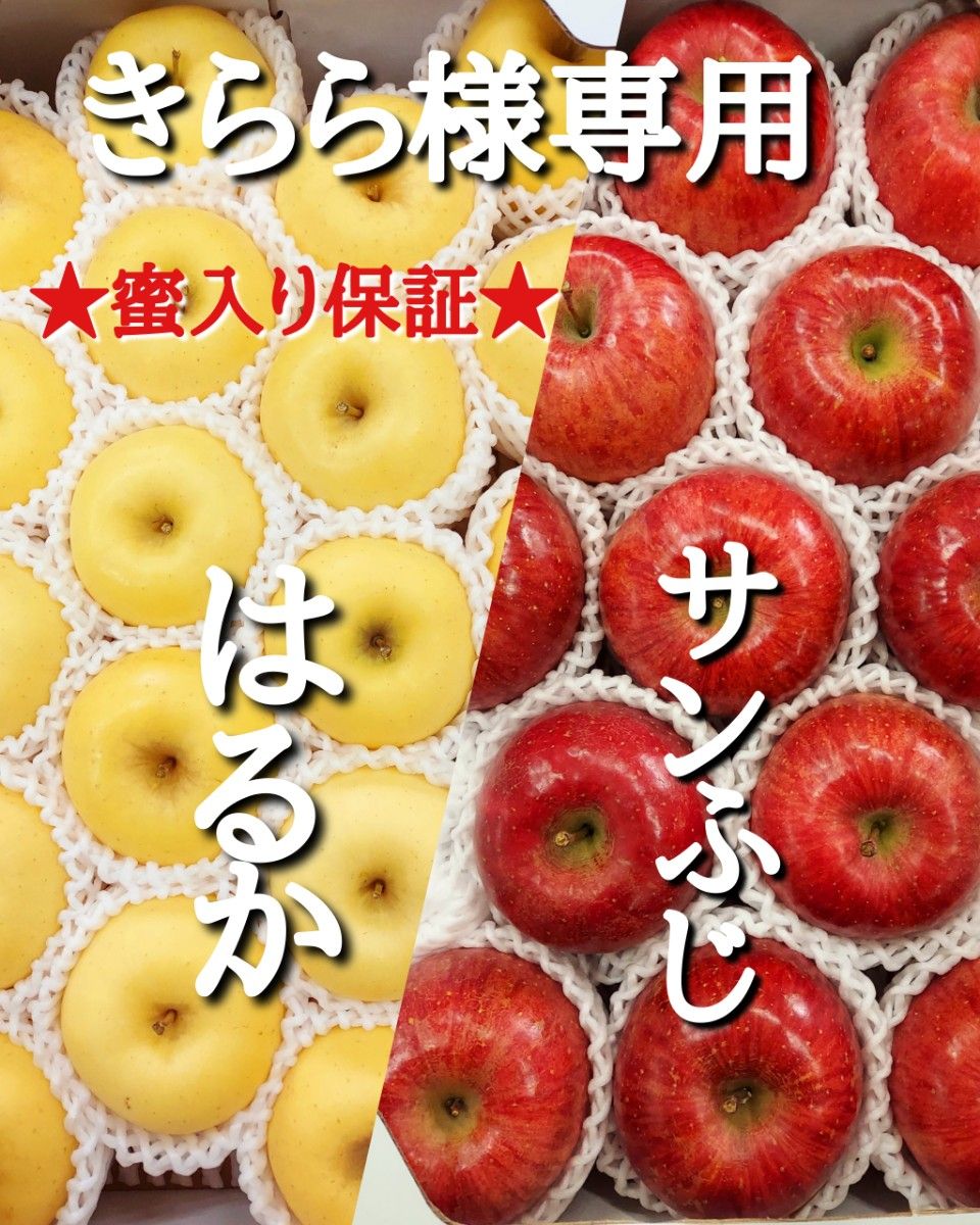 きらら様専用です 蜜入り保証 山形県産 りんご はるか サンふじ